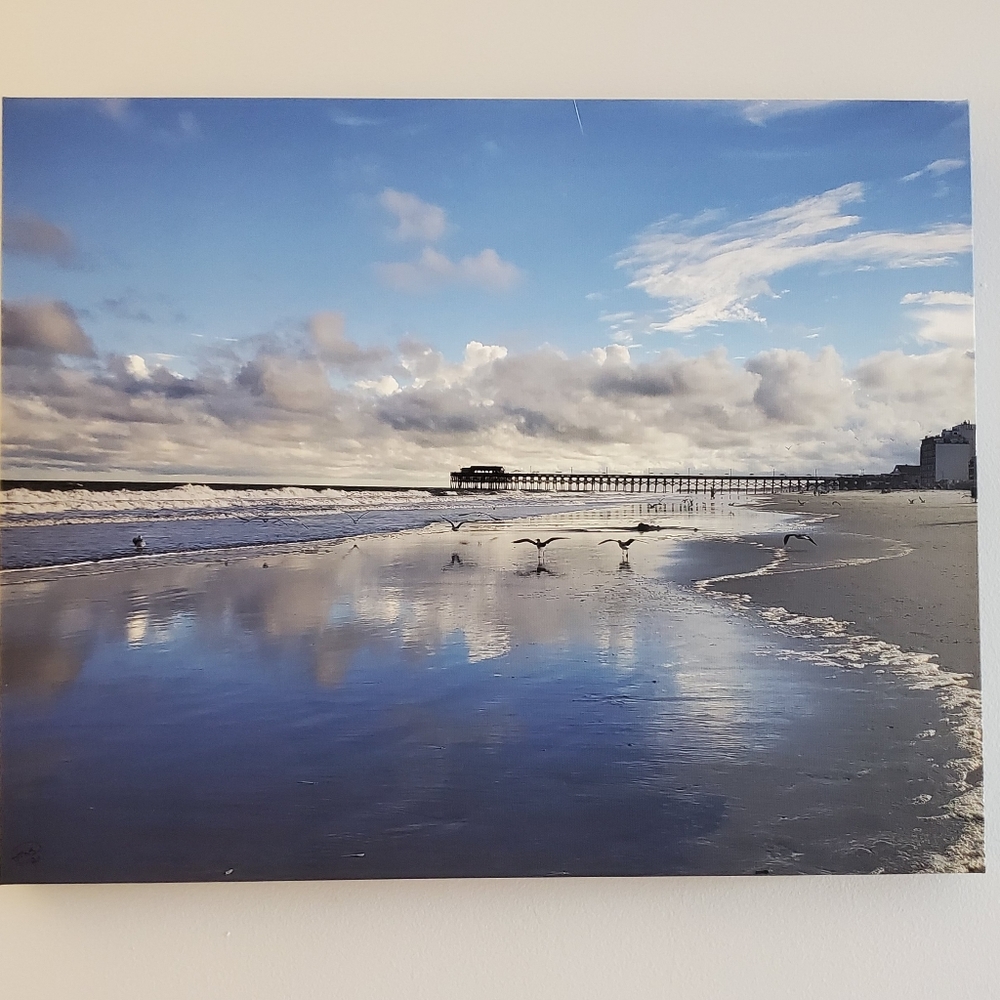 Coastal Canvas Landscape